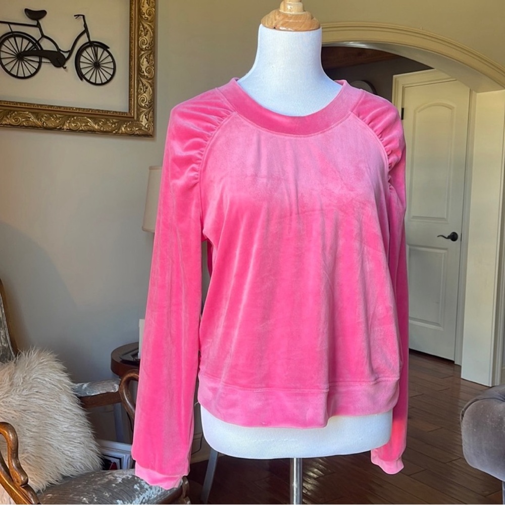 Anthropologie Luxury Pink Velvet Long-Sleeve